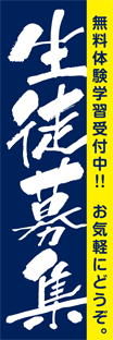 レギュラーのぼり