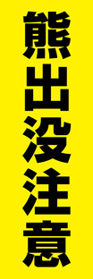 レギュラーのぼり