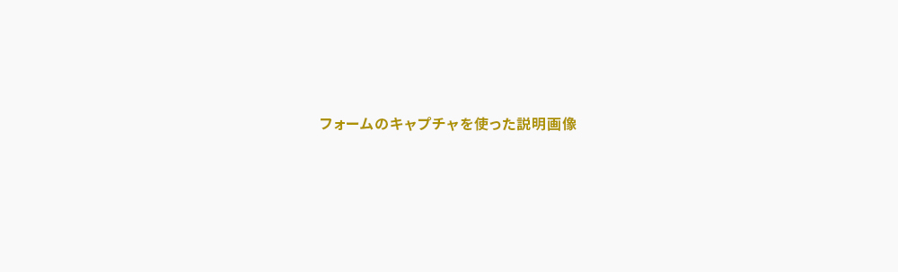 フォームのキャプチャを使った説明画像